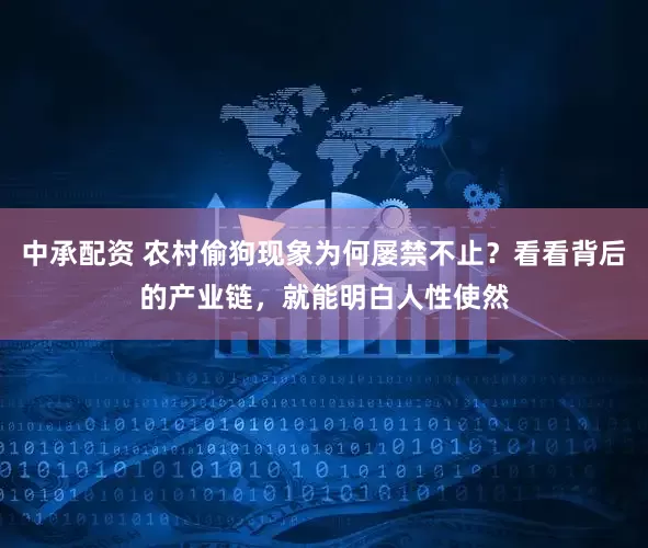 中承配资 农村偷狗现象为何屡禁不止？看看背后的产业链，就能明白人性使然